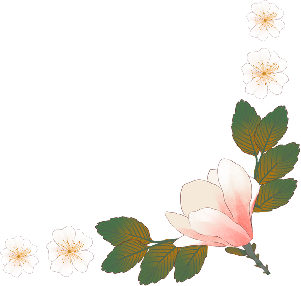 Soft Painting Magnolia Flower Corner Border Element