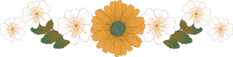 Soft Painting Chrysanthemum Line Border